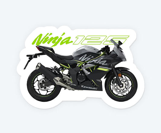 Kawasaki Ninja 125 Magnetic Sticker